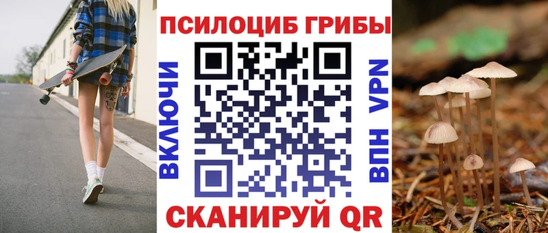 магазин продажи наркотиков  Балашов  KRAKEN зеркало  Галлюциногенные грибы Psilocybine cubensis 
